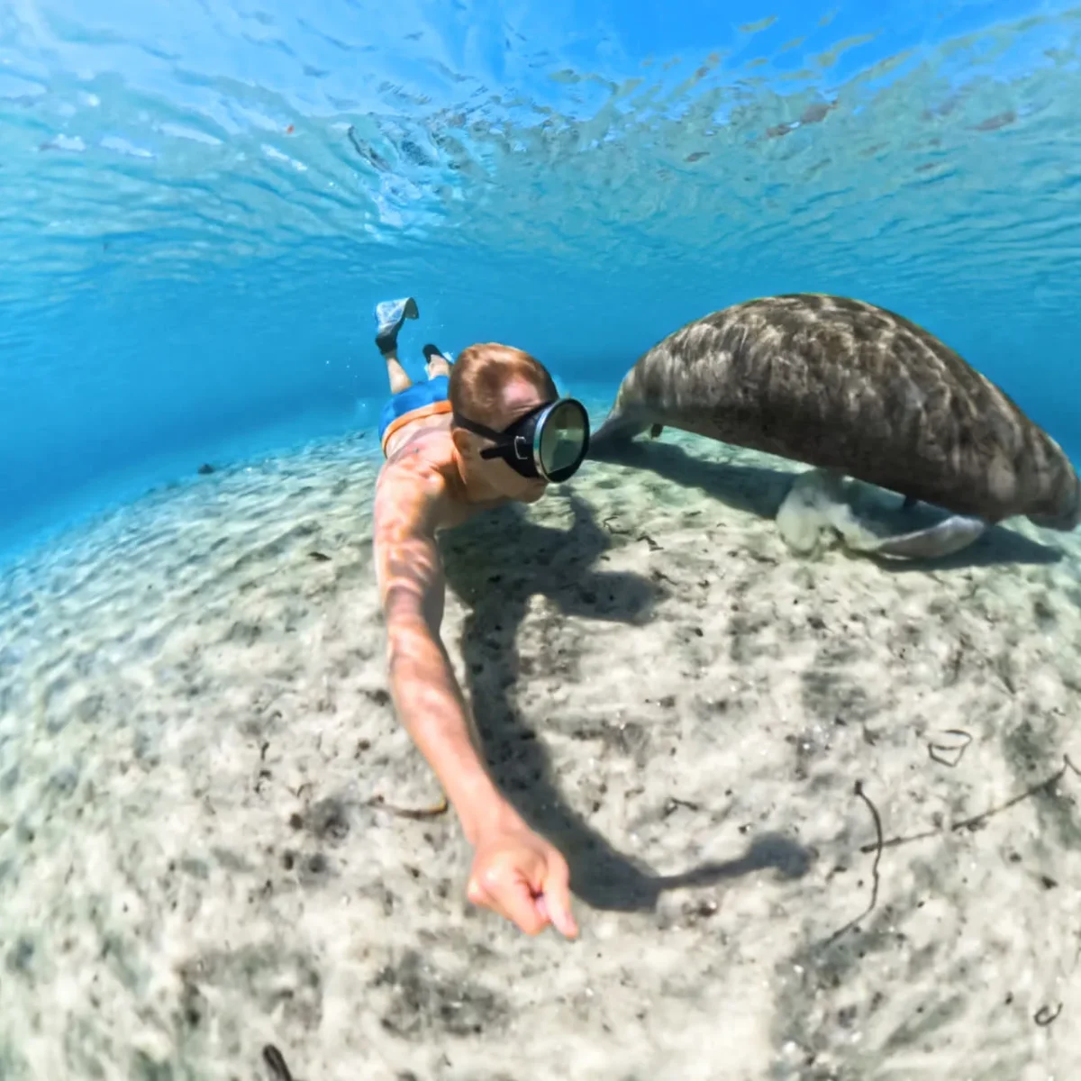 Insta360 X5 Invisible Dive Case - Εικόνα 6