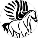 Pegasus profile picture
